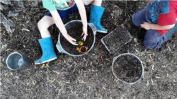 Children playing in mud with link to article on mud play